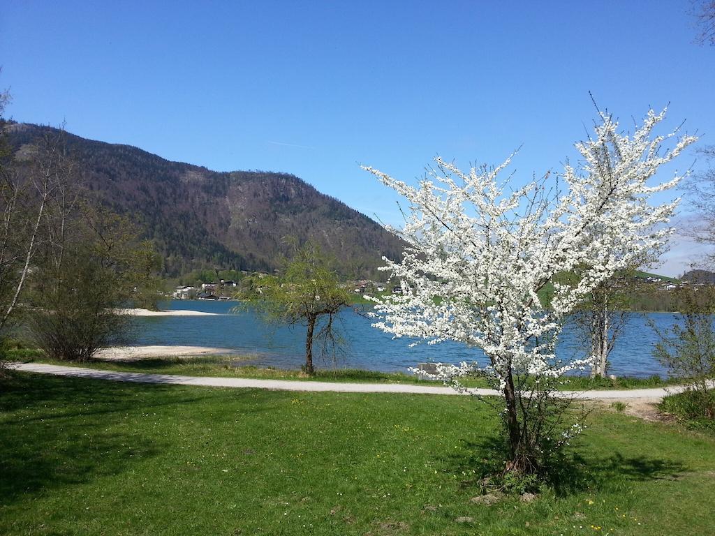 Buchauer-Tirol / Landhaus Buchauer Thiersee Esterno foto